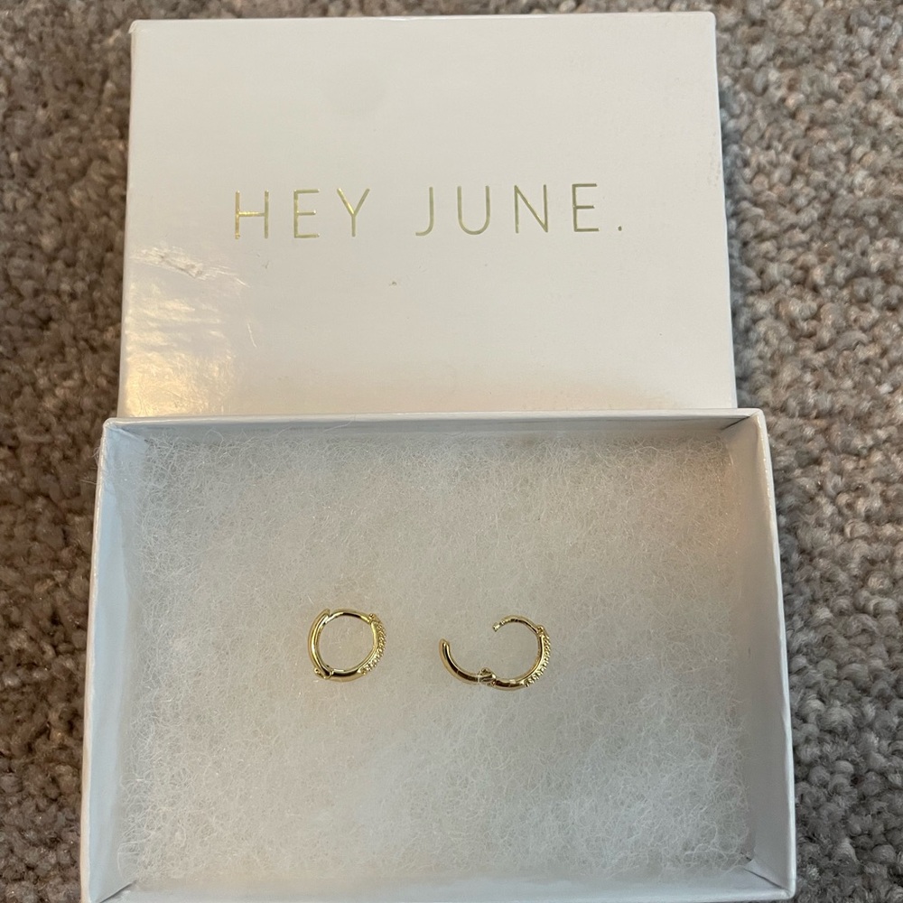 Hey June 9 mm gold filled Huggies